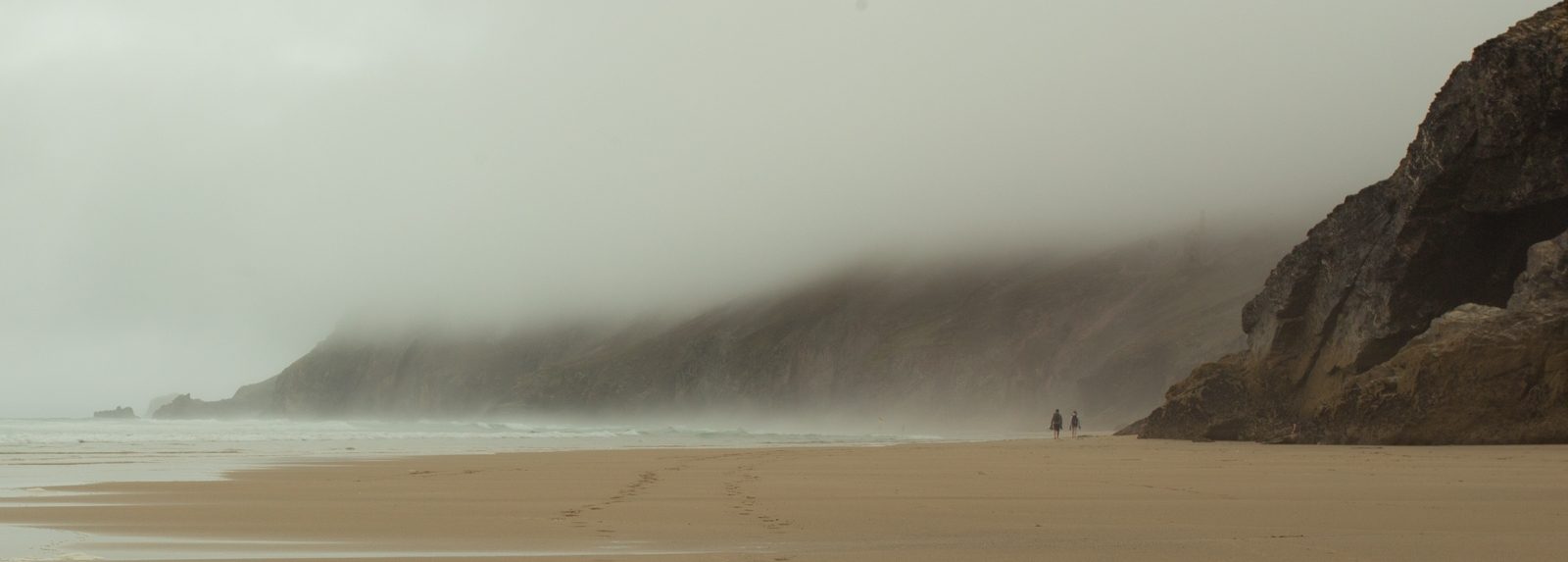 Misty Morning Beach Walk by Andy Knowles
