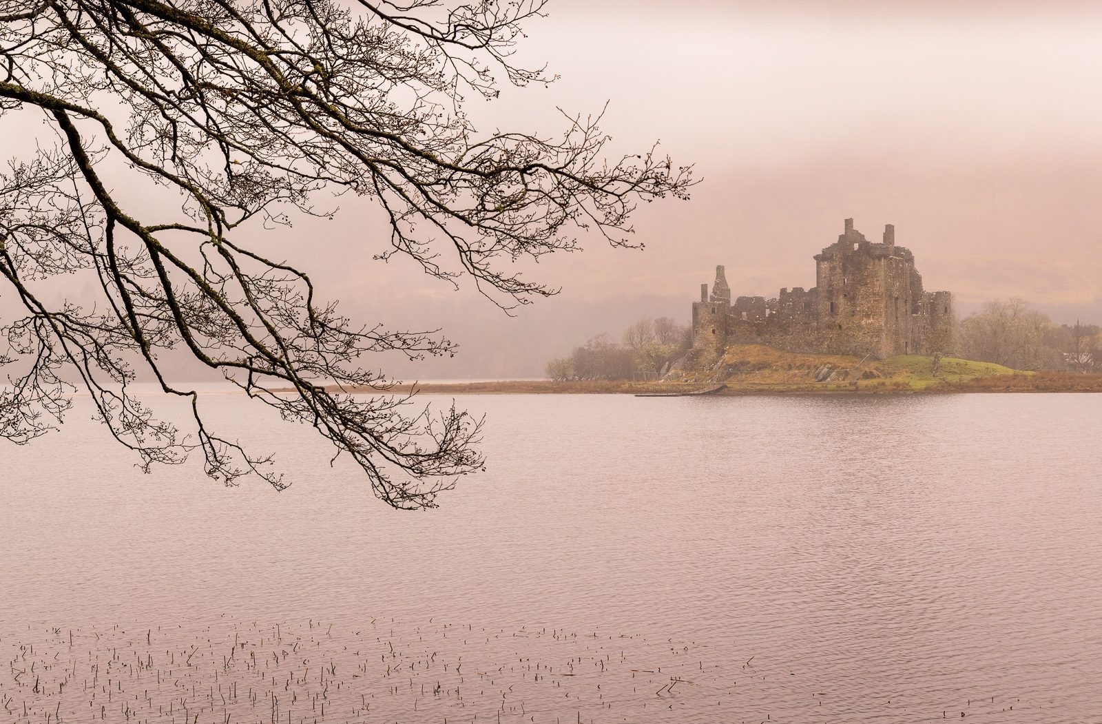 The rising mist by Christine Dixon