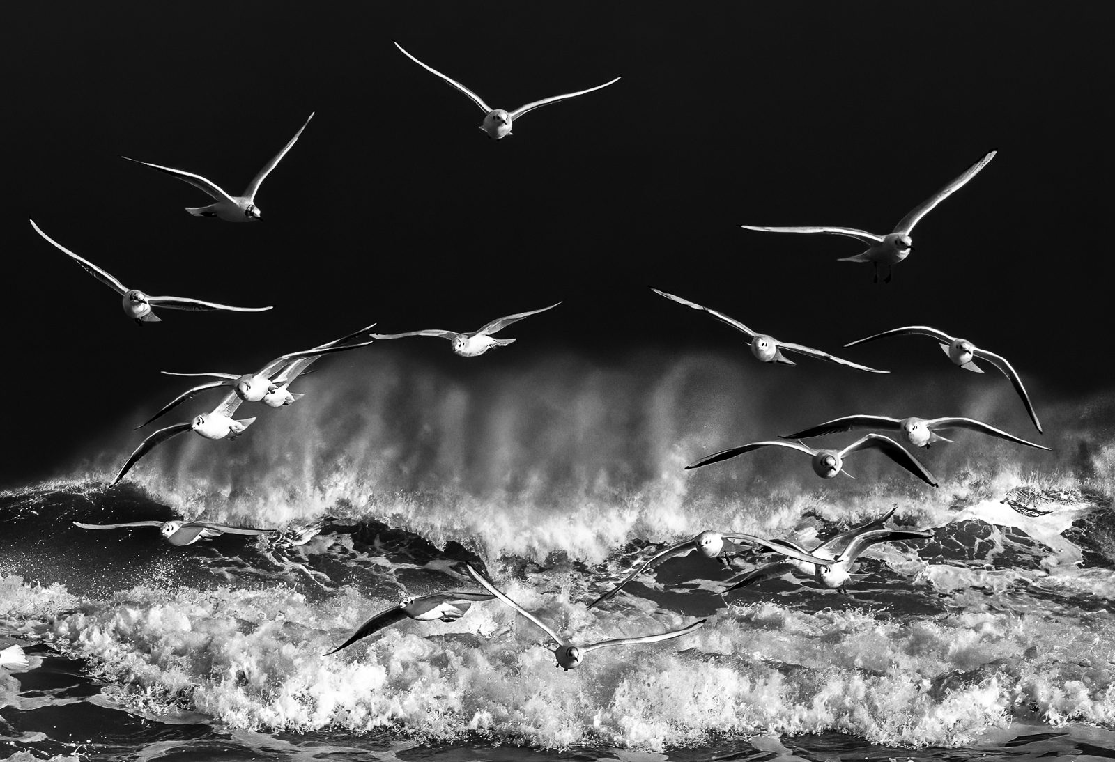 Enjoying the storm by Christine Dixon