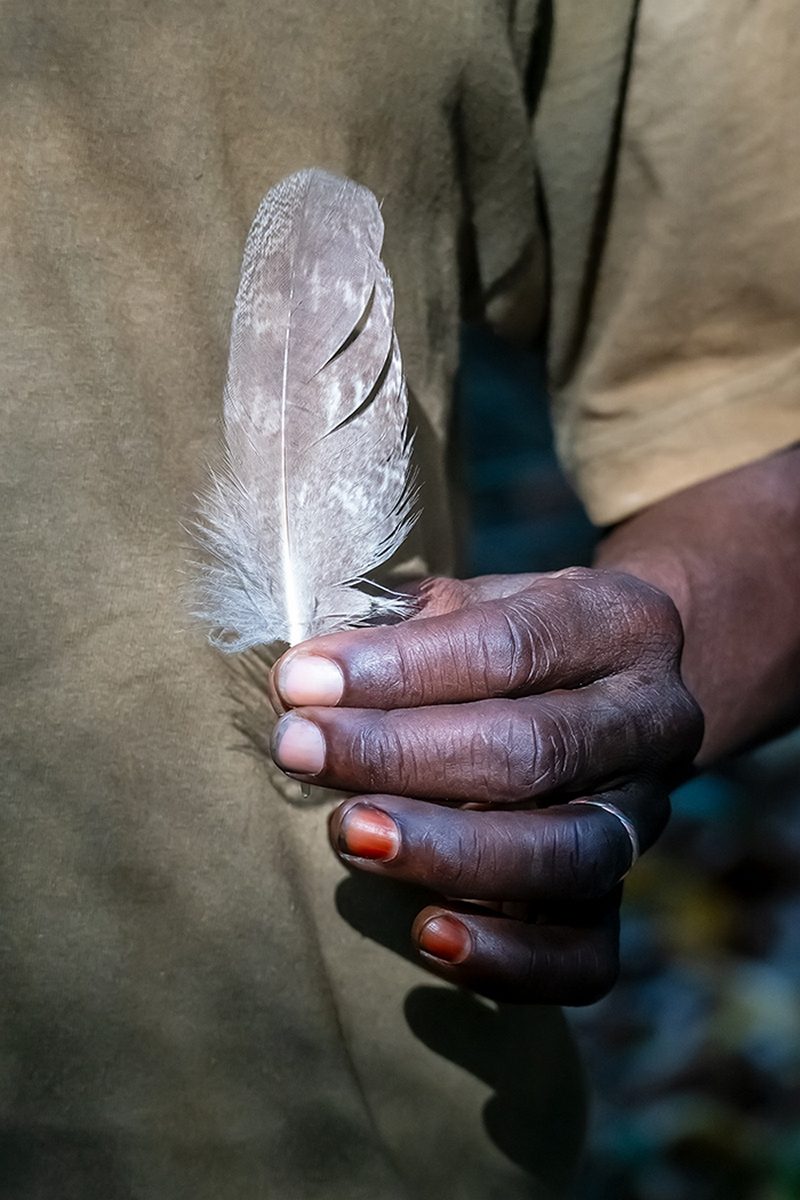 Greyish Eagle Owl Feather by Carol Wiles