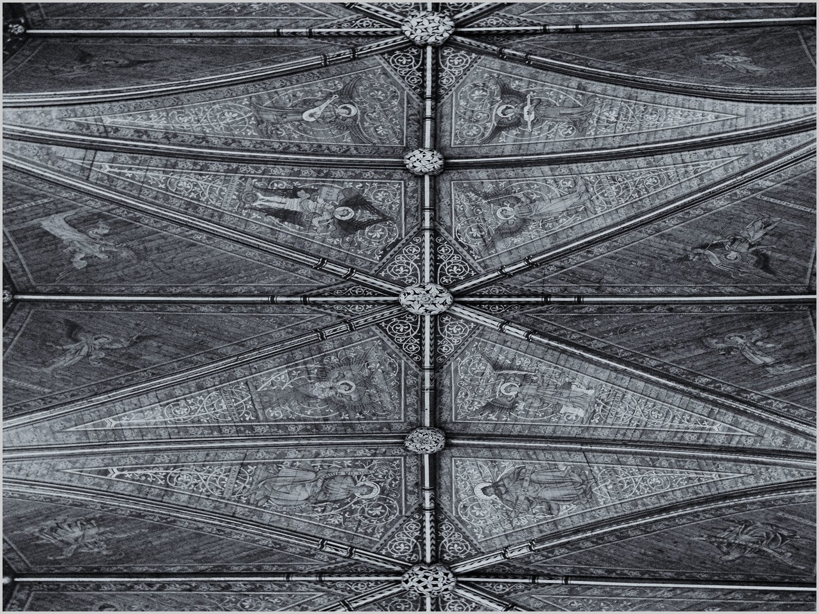 Looking Up by David Coombs