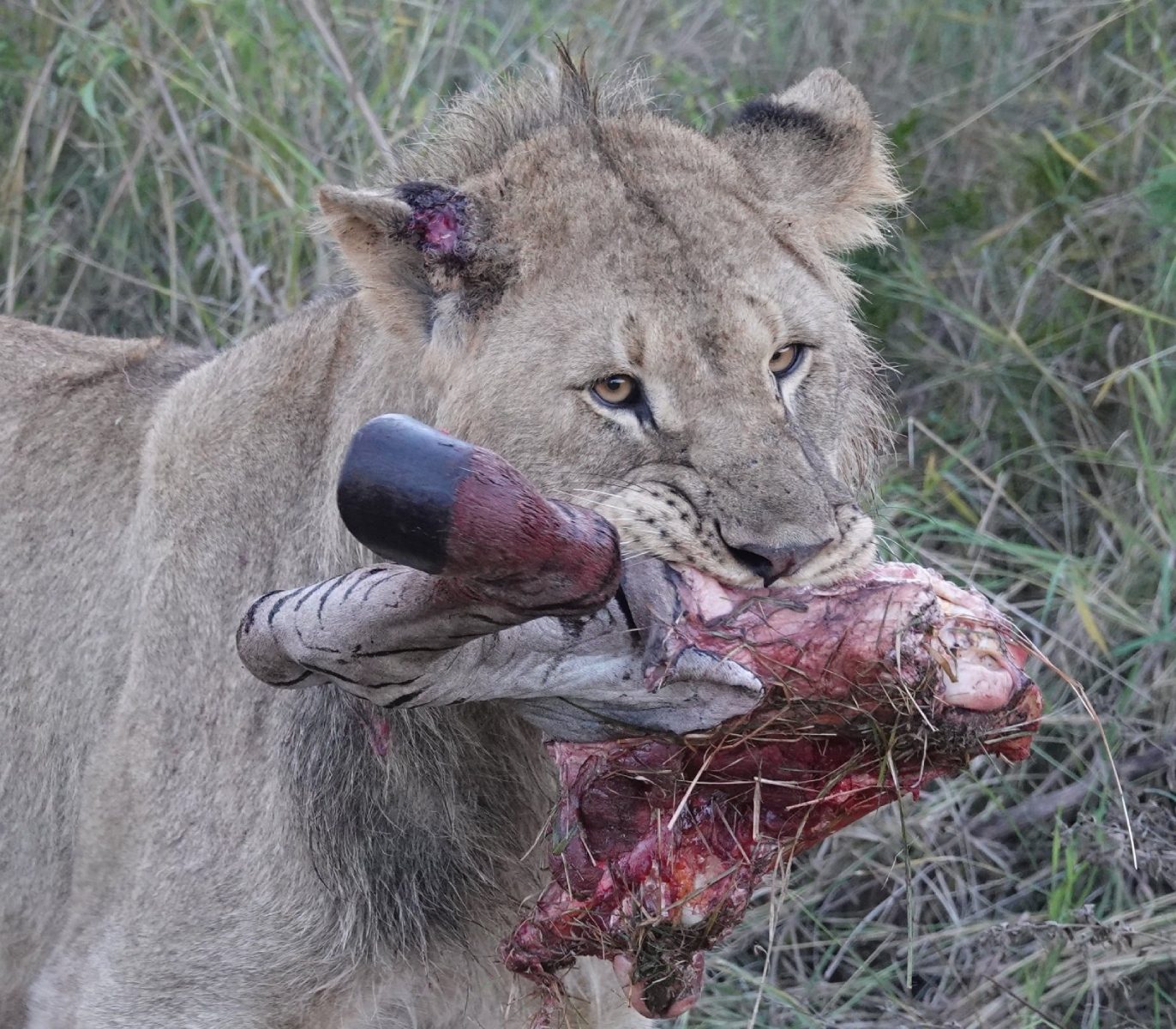 Time for dinner by David Frankl