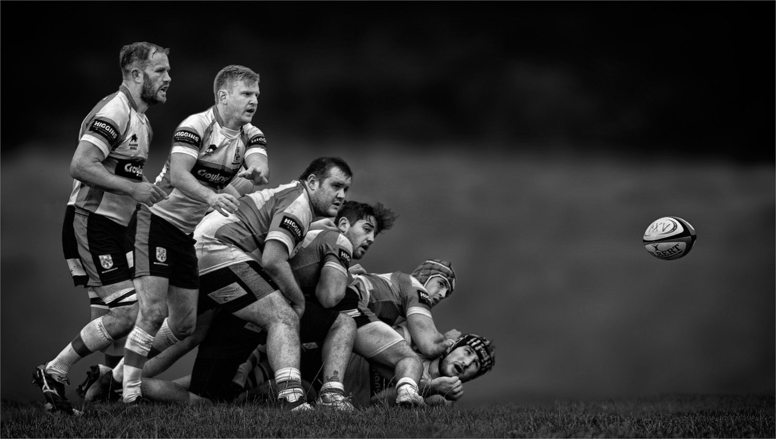 Follow That Ball by David White