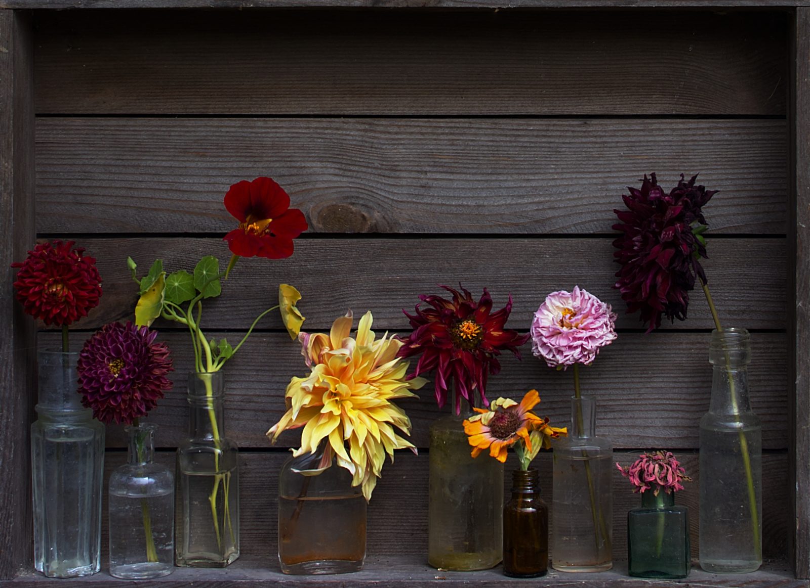 Summer flowers by Deborah Kay