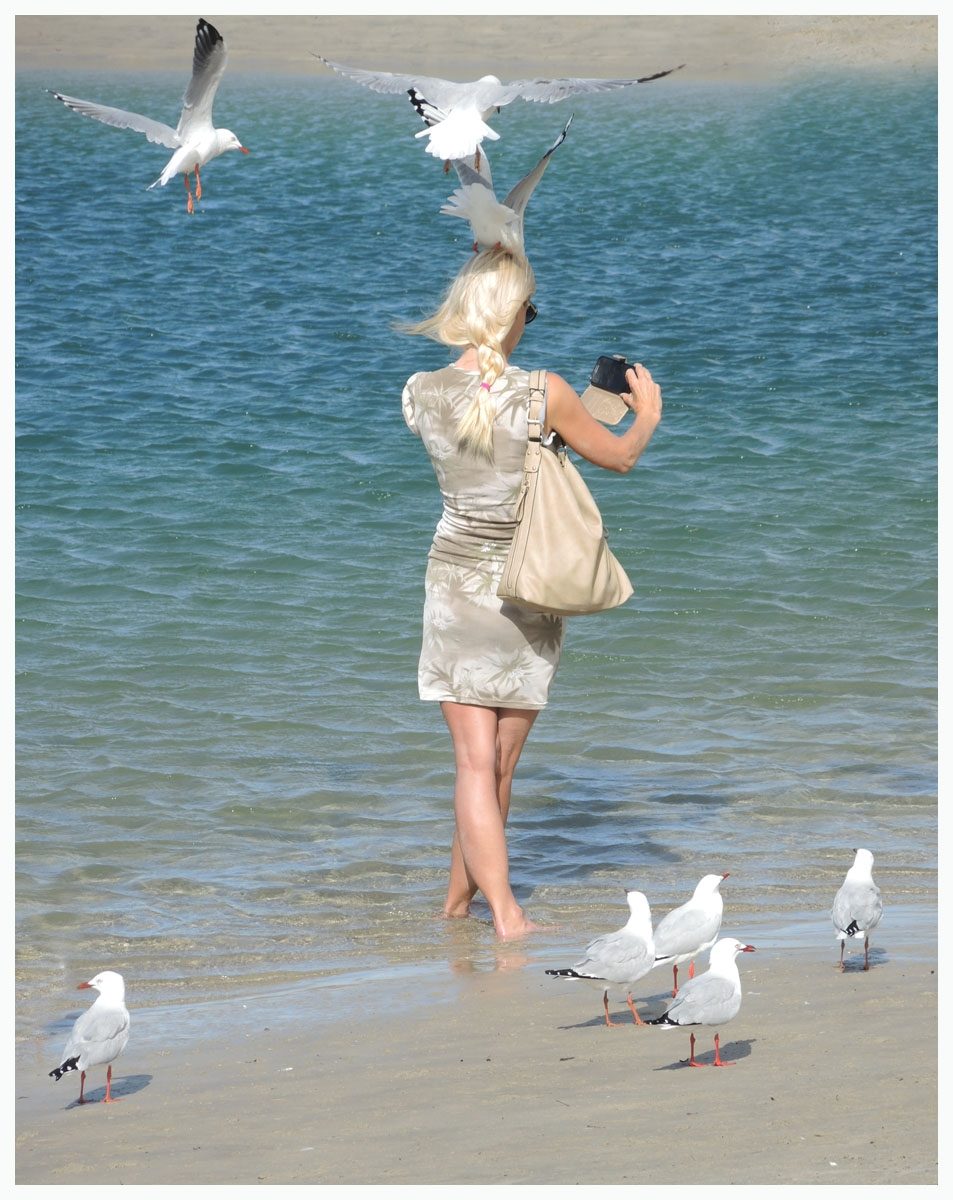 The Bird Lady by Sheila Priestley
