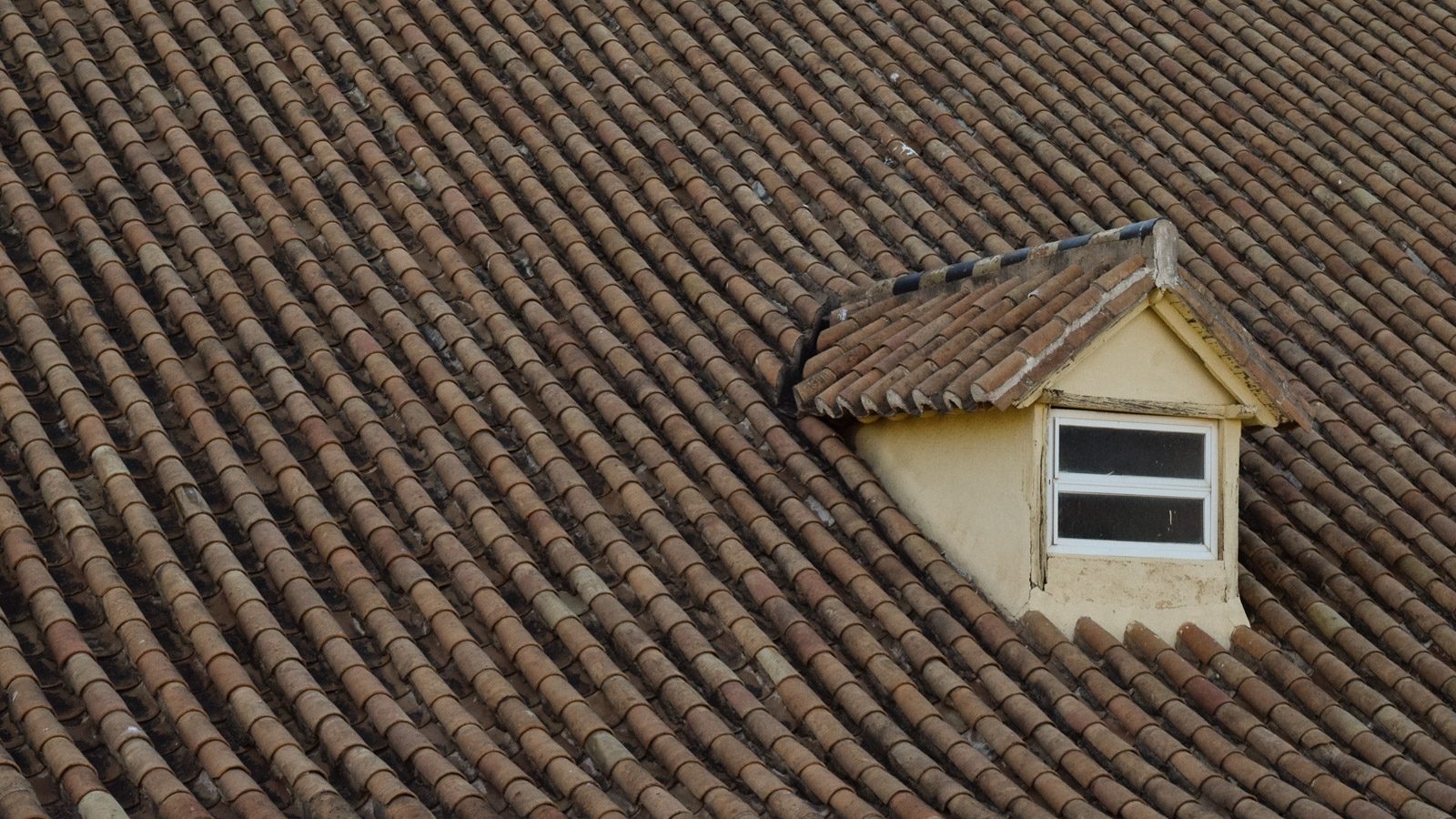 Roof top by Tracie Jackson
